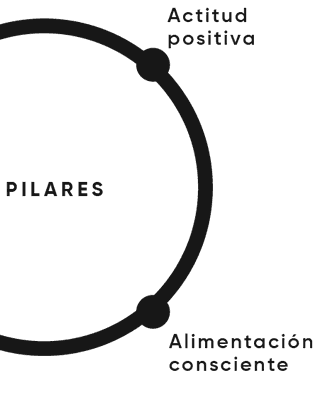 4 pilares